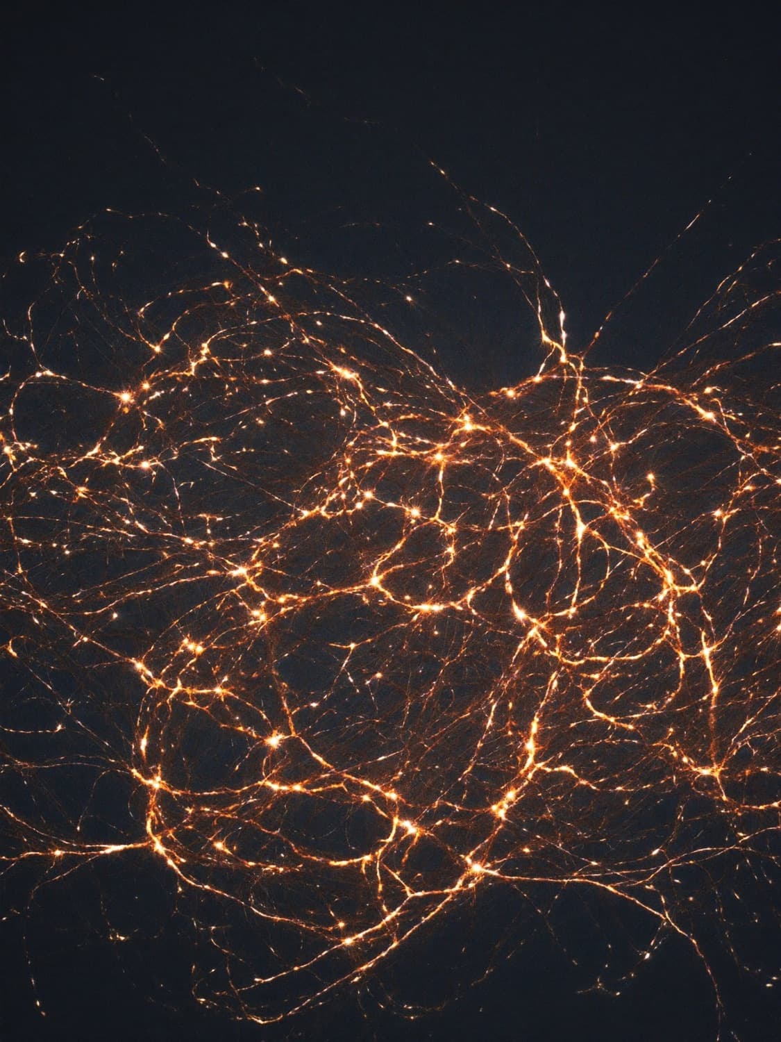 Driven by Data